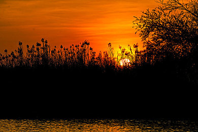 性别巴克2.0版本更新内容汇总：游戏大升级！性别巴克2.0新角色曝光-2