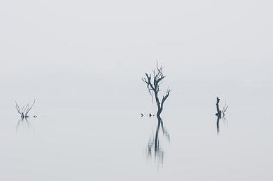 星空麻豆：青春星闪耀，时尚圈新宠-3