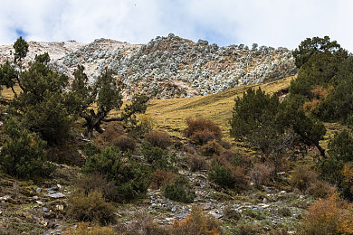 大地资源免费视频的背景故事：教育资源盛宴，大地资源免费视频课程来袭-1