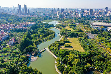 天天操天天做天天干：运动秘籍：打造健康生活，每日一步！-2