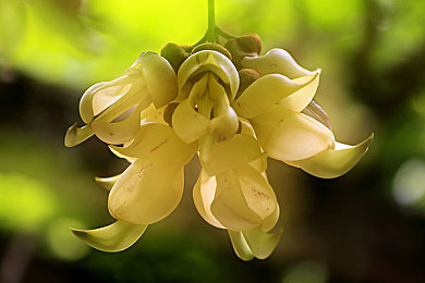 唐三插曲阿银不亦乐乎nba:篮球盛宴来袭,新角色助力NBA热潮-2