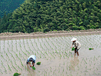 lls888：创新企业lls888：引领互联网新潮流-1