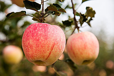 唐三插曲阿银不亦乐乎nba:篮球盛宴来袭,新角色助力NBA热潮-4