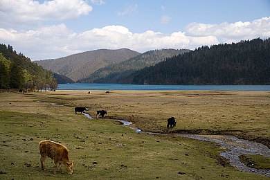 男人和女人一起肌肌对肌肌:肌肌游戏:友谊新桥梁-2