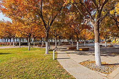 火辣app：社交新风尚，火辣app引潮流-2