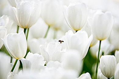 男同 被 出水漫画：漫画奇观：男同爱情新视界-3