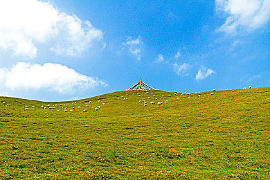黄冈网站推广平台:游戏爆红背后的秘密,黄冈平台助力大揭秘-3