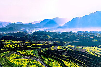 雷电将军女被  扒衣服：网络照片风波：隐私边界引关注-2