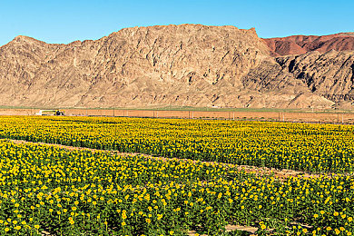 火辣辣福利：企业大招：福利盛宴等你来享-3