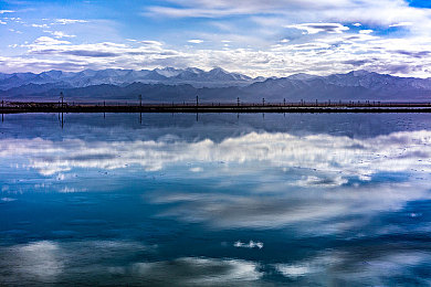 8 8 海外华人免费入口:海外游戏盛宴,华人专属体验-3