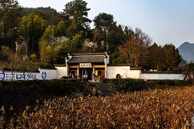 淫秽软件下载：网络清朗，远离淫秽软件-2