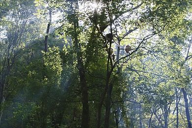 两个人看的www免费视频:浪漫视频盛宴,免费享不停-2