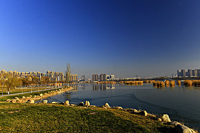 想要XX网站入口：网络新宠，一站式服务，速来体验-2