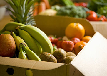 黄片软件下载安装330最新版oppo：OPPO新版本游戏体验升级，惊喜连连-2