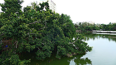 揉我胸 啊 嗯~出水奶:奶农奇遇,奶源宝藏等你来挖-2