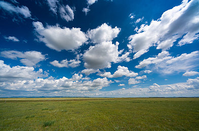 美女脱衣App:脱衣App引关注,隐私安全引担忧-3