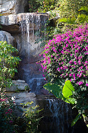 安禄山与杨玉环港版：传奇再现，港版《安杨》引关注