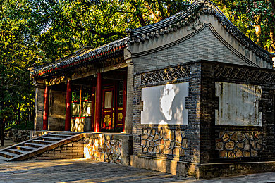 憋尿计划表：科学排尿，健康生活新秘籍-3