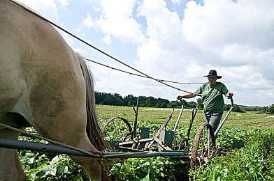 欧美艳星Nikki 办公室：艳星Nikki职场日常曝光-2