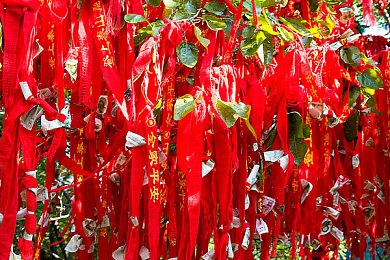 天堂а√8中文在线鲁大师:娱乐新平台,沉浸式体验-3