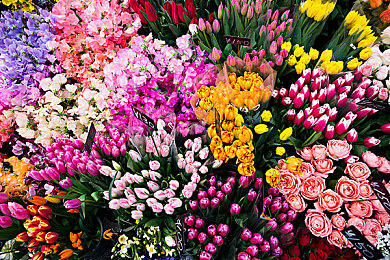 天天伸进女同桌乳沟里摸爽：课堂惊悚：乳沟摸爽男生被开除-2