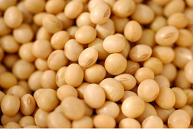 和少妇人妻邻居做爰：邻里丑闻惊爆，道德底线被践踏-2