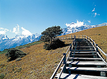 黄色APP污：网络净化，守护青春防线-3