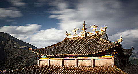 打扑克又叫又痛：牌局惊曝：叫牌声痛不欲生？