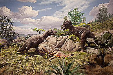 www网站你应该知道我说的意思吧：揭秘：网站背后的秘密，畅游网络不再迷茫