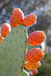 7天魔鬼憋尿计划表连着的:憋尿养生法引热议,真的有效吗?-1