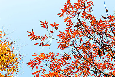 被黑人猛烈做到抽搐：街头冲突惊心，种族歧视再引关注-2