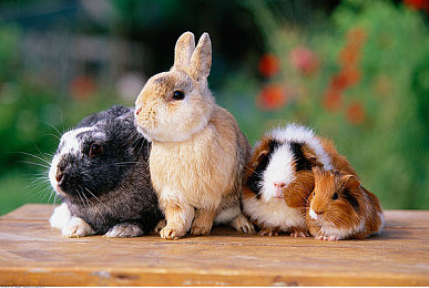 天天射天天干天天:工作狂潮背后的健康危机,你了解吗?-2