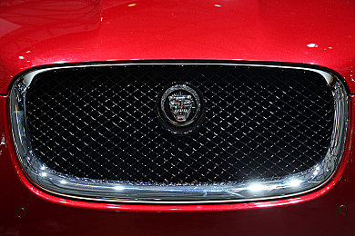 棉签加冰块等于牛奶：牛奶变白之谜，棉签冰块揭秘-3