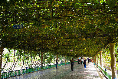 亲子乱AⅤ一区二区三区:网络严打,守护青春净土-4