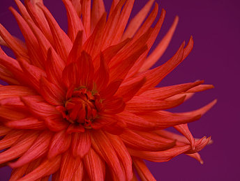 男女上床打扑克:床上扑克,友谊升温-2