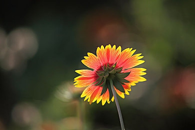 领导在车上弄我的好爽：轻松互动，领导减压新招-3