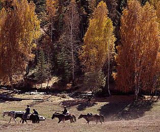 极品魔鬼身材女神啪啪精品：健身女神揭秘：魔鬼身材是这样炼成的-4