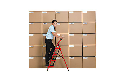 51张警犬9分10秒头撞玻璃：警犬耐力惊人，9分钟51次撞玻璃-2