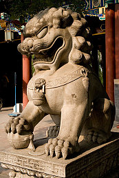 精东黄台：探险宝藏引热潮，新游即将来袭-1