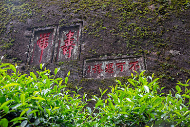 猛男在办公室被C男男：办公激战，猛男逆袭！-5