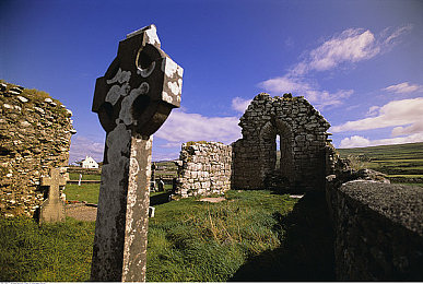 天天操天天做天天干：运动秘籍：打造健康生活，每日一步！-5