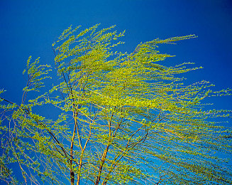 憋尿计划表最高级堵尿4级：憋尿养生，挑战自我新境界-4