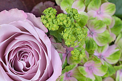 老板不让穿内裤随时做黄说：职场内裤风波：穿与不穿，自由与规范之争-4