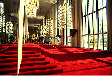 憋尿一天计划表：破解憋尿困扰，健康生活小妙招-2