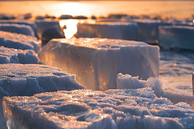 黄色软件app大全免费：免费软件大盘点，手机生活更精彩-3