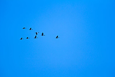 一字马憋着尿练五小时舞蹈：舞蹈极限挑战：五小时一字马憋尿新高度-2