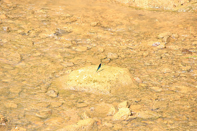 交videos乱叫娇小HD：短视频新宠，欢乐来袭！-4