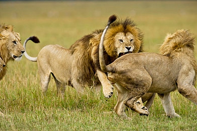 7天魔鬼憋尿计划表连着的:憋尿养生法引热议,真的有效吗?-2