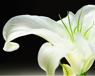 少妇HD性做爰：性健康软件走红，夫妻生活新体验-3