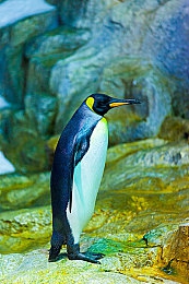 HL黑料门-今日黑料-最新反差：游戏公司丑闻迭起，行业监管引关注-4